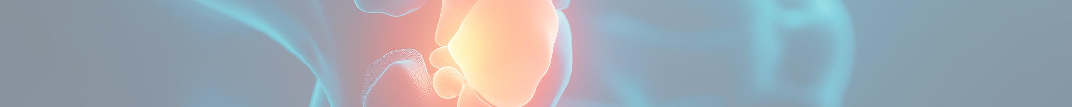 Illustration médicale d’une articulation du genou avec inflammation, représentant les douleurs liées à l’arthrose.
